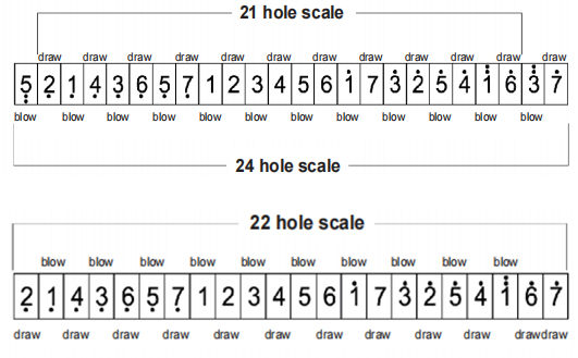 TREMOLO HARMONICA