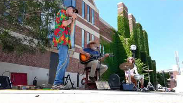 Blues Harmonica performance in a band, wonderful beginner harmonica for CONJURER HARMONICA