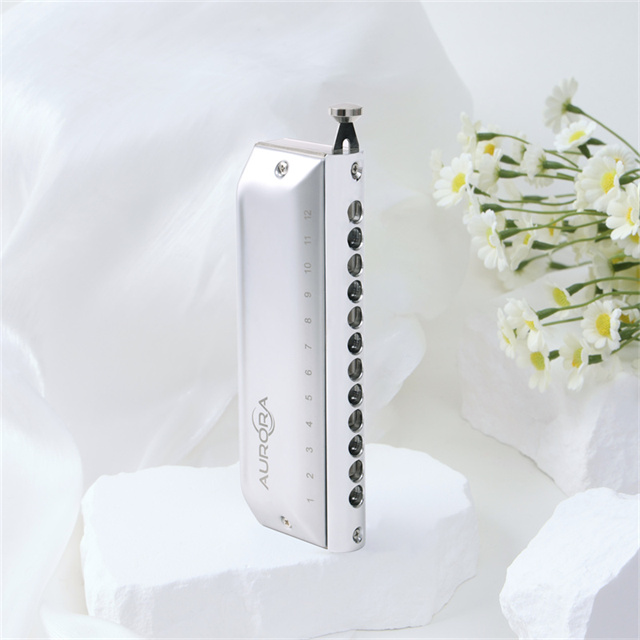 Conjurer Harmonica AURORA WH1248A