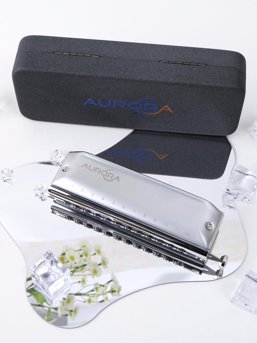 Conjurer Harmonica AURORA WH1248A -2